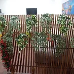 Casa Ametista